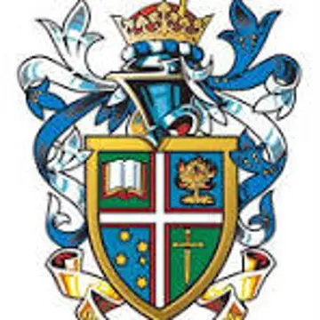 Test School Carnival 2025